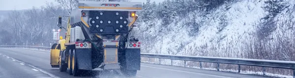 Bulk Road Salt